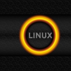 如何在 Linux 中确定运行的是那种初始化系统