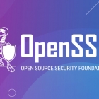 开源安全基金会（OpenSSF）：回顾和展望